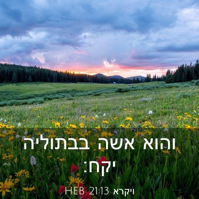 Picture 03 - ויקרא 21:13 HEB - והוא אשה בבתוליה - Bible Verse Picture