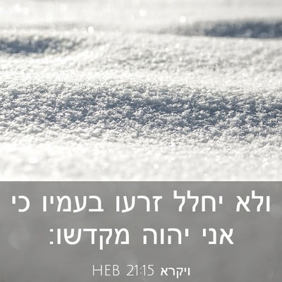 Picture 03 - ויקרא 21:15 HEB - ולא יחלל זרעו בעמיו כי אני - Bible Verse Picture