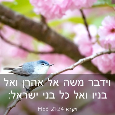 Picture 03 - ויקרא 21:24 HEB - וידבר משה אל אהרן ואל בניו - Bible Verse Picture