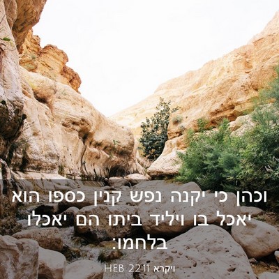 Picture 03 - ויקרא 22:11 HEB - וכהן כי יקנה נפש קנין כספו - Bible Verse Picture