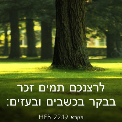 Picture 03 - ויקרא 22:19 HEB - לרצנכם תמים זכר בבקר - Bible Verse Picture