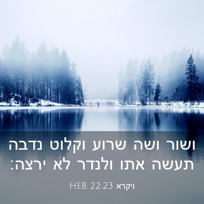 Picture 03 - ויקרא 22:23 HEB - ושור ושה שרוע וקלוט נדבה - Bible Verse Picture
