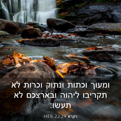 Picture 03 - ויקרא 22:24 HEB - ומעוך וכתות ונתוק וכרות לא - Bible Verse Picture