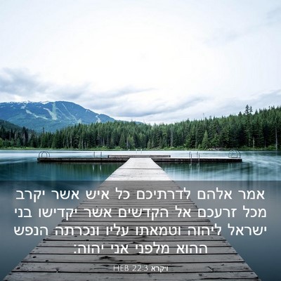 Picture 03 - ויקרא 22:3 HEB - אמר אלהם לדרתיכם כל איש אשר - Bible Verse Picture