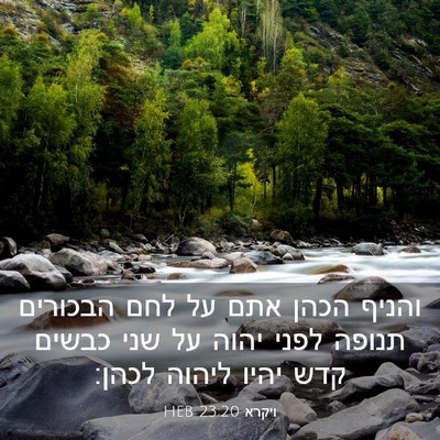 Picture 03 - ויקרא 23:20 HEB - והניף הכהן אתם על לחם - Bible Verse Picture
