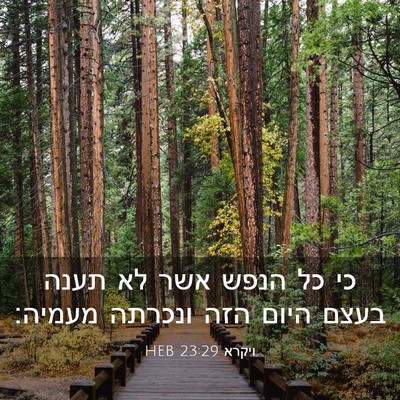 Picture 03 - ויקרא 23:29 HEB - כי כל הנפש אשר לא תענה בעצם - Bible Verse Picture