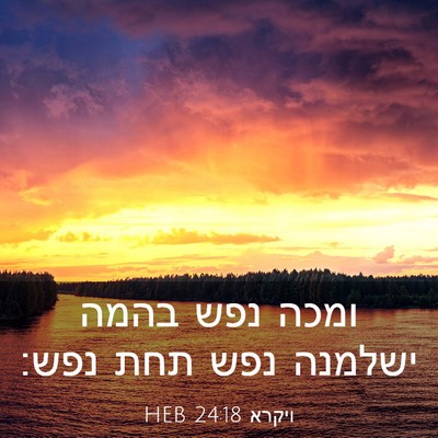 Picture 03 - ויקרא 24:18 HEB - ומכה נפש בהמה ישלמנה נפש - Bible Verse Picture
