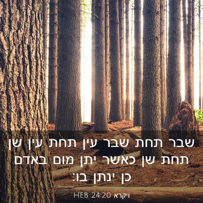 Picture 03 - ויקרא 24:20 HEB - שבר תחת שבר עין תחת עין שן - Bible Verse Picture