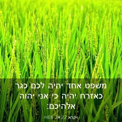 Picture 03 - ויקרא 24:22 HEB - משפט אחד יהיה לכם כגר כאזרח - Bible Verse Picture