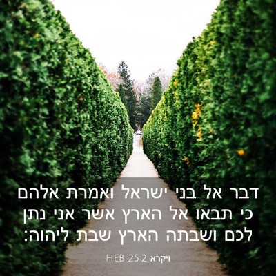 Picture 03 - ויקרא 25:2 HEB - דבר אל בני ישראל ואמרת אלהם - Bible Verse Picture