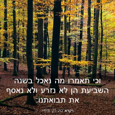 Picture 03 - ויקרא 25:20 HEB - וכי תאמרו מה נאכל בשנה - Bible Verse Picture