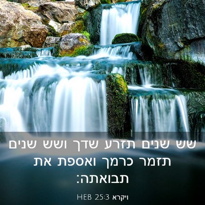 Picture 03 - ויקרא 25:3 HEB - שש שנים תזרע שדך ושש שנים - Bible Verse Picture