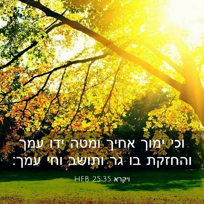 Picture 03 - ויקרא 25:35 HEB - וכי ימוך אחיך ומטה ידו עמך - Bible Verse Picture