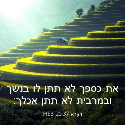 Picture 03 - ויקרא 25:37 HEB - את כספך לא תתן לו בנשך - Bible Verse Picture