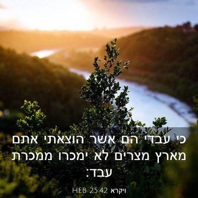Picture 03 - ויקרא 25:42 HEB - כי עבדי הם אשר הוצאתי אתם - Bible Verse Picture