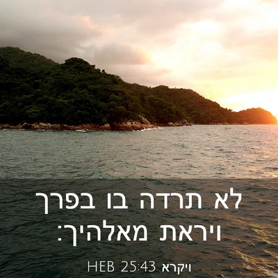 Picture 03 - ויקרא 25:43 HEB - לא תרדה בו בפרך ויראת - Bible Verse Picture