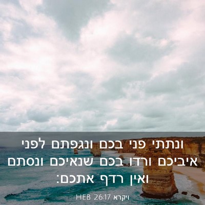 Picture 03 - ויקרא 26:17 HEB - ונתתי פני בכם ונגפתם לפני - Bible Verse Picture