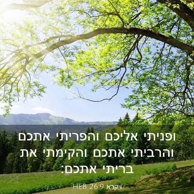 Picture 03 - ויקרא 26:9 HEB - ופניתי אליכם והפריתי אתכם - Bible Verse Picture