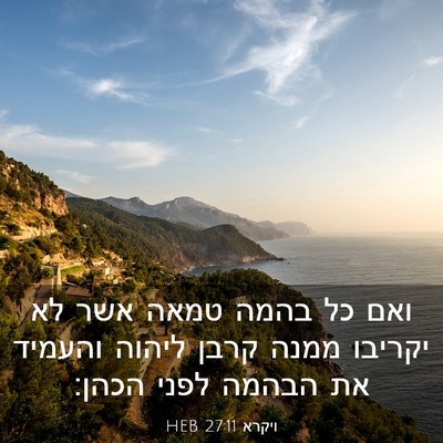 Picture 03 - ויקרא 27:11 HEB - ואם כל בהמה טמאה אשר לא - Bible Verse Picture