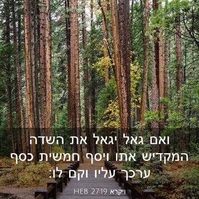 Picture 03 - ויקרא 27:19 HEB - ואם גאל יגאל את השדה המקדיש - Bible Verse Picture