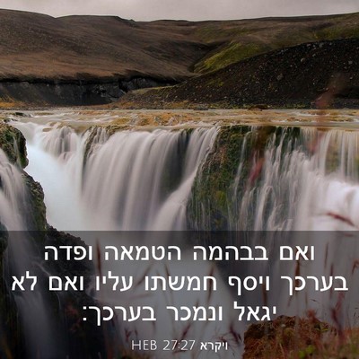 Picture 03 - ויקרא 27:27 HEB - ואם בבהמה הטמאה ופדה בערכך - Bible Verse Picture