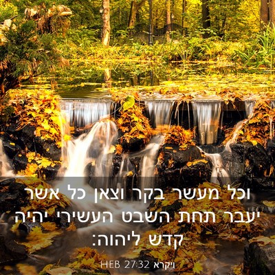 Picture 03 - ויקרא 27:32 HEB - וכל מעשר בקר וצאן כל אשר - Bible Verse Picture