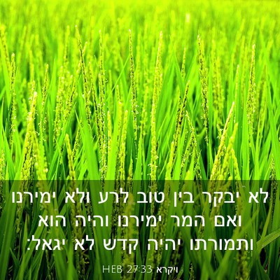 Picture 03 - ויקרא 27:33 HEB - לא יבקר בין טוב לרע ולא - Bible Verse Picture
