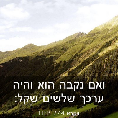 Picture 03 - ויקרא 27:4 HEB - ואם נקבה הוא והיה ערכך - Bible Verse Picture