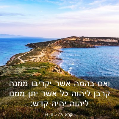 Picture 03 - ויקרא 27:9 HEB - ואם בהמה אשר יקריבו ממנה - Bible Verse Picture