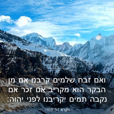 Picture 03 - ויקרא 3:1 HEB - ואם זבח שלמים קרבנו אם מן - Bible Verse Picture
