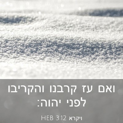 Picture 03 - ויקרא 3:12 HEB - ואם עז קרבנו והקריבו לפני - Bible Verse Picture