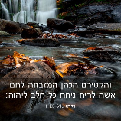 Picture 03 - ויקרא 3:16 HEB - והקטירם הכהן המזבחה לחם - Bible Verse Picture