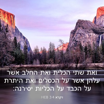 Picture 03 - ויקרא 3:4 HEB - ואת שתי הכלית ואת החלב אשר - Bible Verse Picture