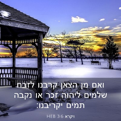 Picture 03 - ויקרא 3:6 HEB - ואם מן הצאן קרבנו לזבח - Bible Verse Picture