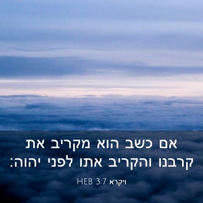 Picture 03 - ויקרא 3:7 HEB - אם כשב הוא מקריב את קרבנו - Bible Verse Picture