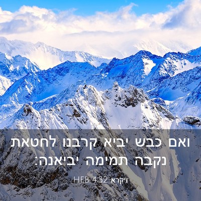 Picture 03 - ויקרא 4:32 HEB - ואם כבש יביא קרבנו לחטאת - Bible Verse Picture