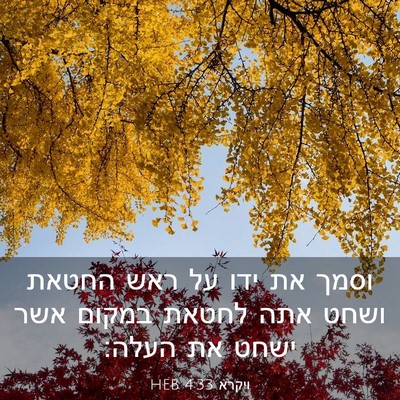 Picture 03 - ויקרא 4:33 HEB - וסמך את ידו על ראש החטאת - Bible Verse Picture