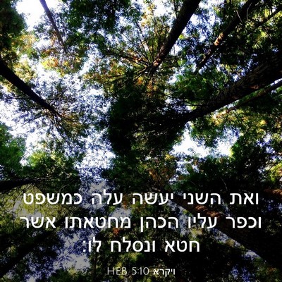 Picture 03 - ויקרא 5:10 HEB - ואת השני יעשה עלה כמשפט - Bible Verse Picture