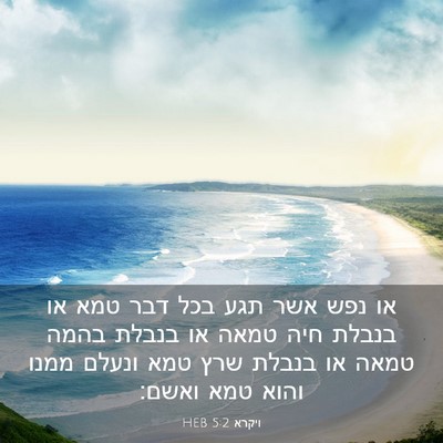 Picture 03 - ויקרא 5:2 HEB - או נפש אשר תגע בכל דבר טמא - Bible Verse Picture
