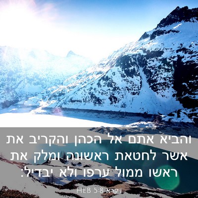Picture 03 - ויקרא 5:8 HEB - והביא אתם אל הכהן והקריב את - Bible Verse Picture