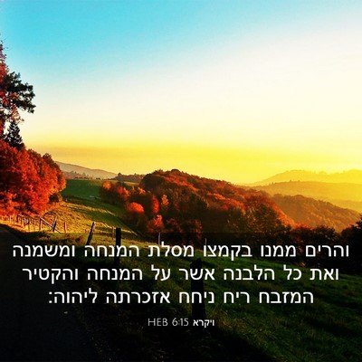 Picture 03 - ויקרא 6:15 HEB - והרים ממנו בקמצו מסלת - Bible Verse Picture