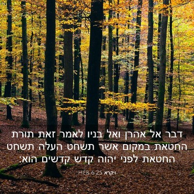 Picture 03 - ויקרא 6:25 HEB - דבר אל אהרן ואל בניו לאמר - Bible Verse Picture