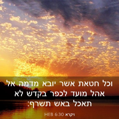 Picture 03 - ויקרא 6:30 HEB - וכל חטאת אשר יובא מדמה אל - Bible Verse Picture