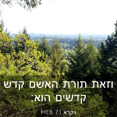Picture 03 - ויקרא 7:1 HEB - וזאת תורת האשם קדש קדשים - Bible Verse Picture