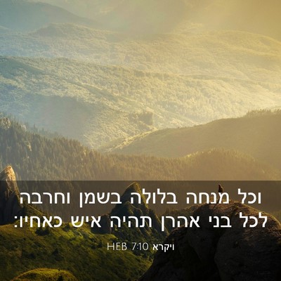 Picture 03 - ויקרא 7:10 HEB - וכל מנחה בלולה בשמן וחרבה - Bible Verse Picture