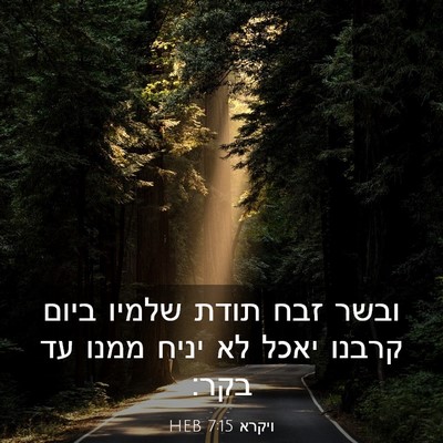 Picture 03 - ויקרא 7:15 HEB - ובשר זבח תודת שלמיו ביום - Bible Verse Picture
