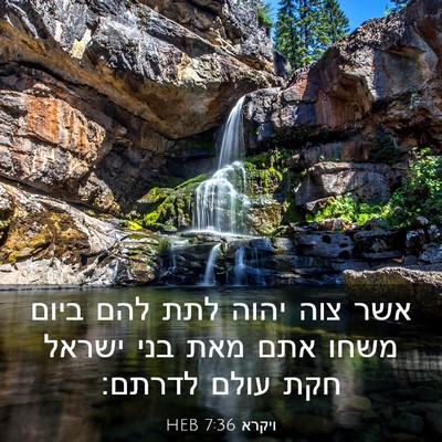 Picture 03 - ויקרא 7:36 HEB - אשר צוה יהוה לתת להם ביום - Bible Verse Picture