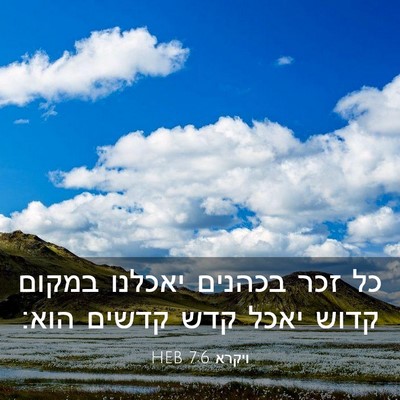 Picture 03 - ויקרא 7:6 HEB - כל זכר בכהנים יאכלנו במקום - Bible Verse Picture
