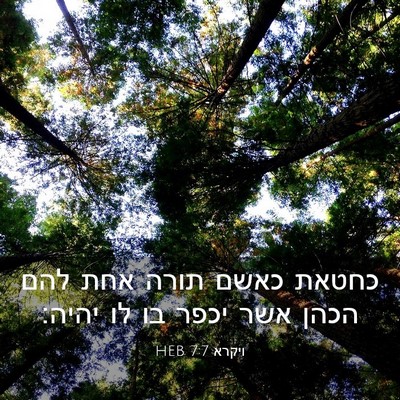 Picture 03 - ויקרא 7:7 HEB - כחטאת כאשם תורה אחת להם - Bible Verse Picture