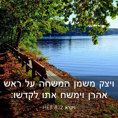Picture 03 - ויקרא 8:12 HEB - ויצק משמן המשחה על ראש אהרן - Bible Verse Picture